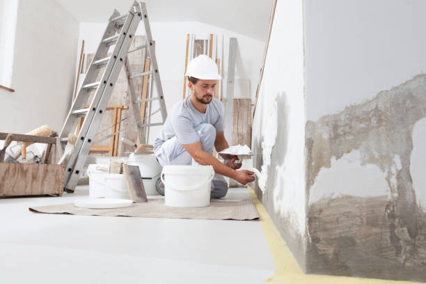 Best Interior Painting  in Waterville, MN